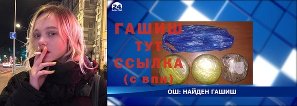 индика Алзамай