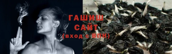 индика Алзамай
