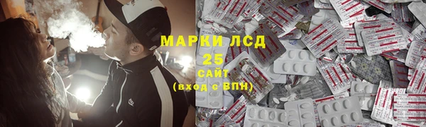 индика Алзамай