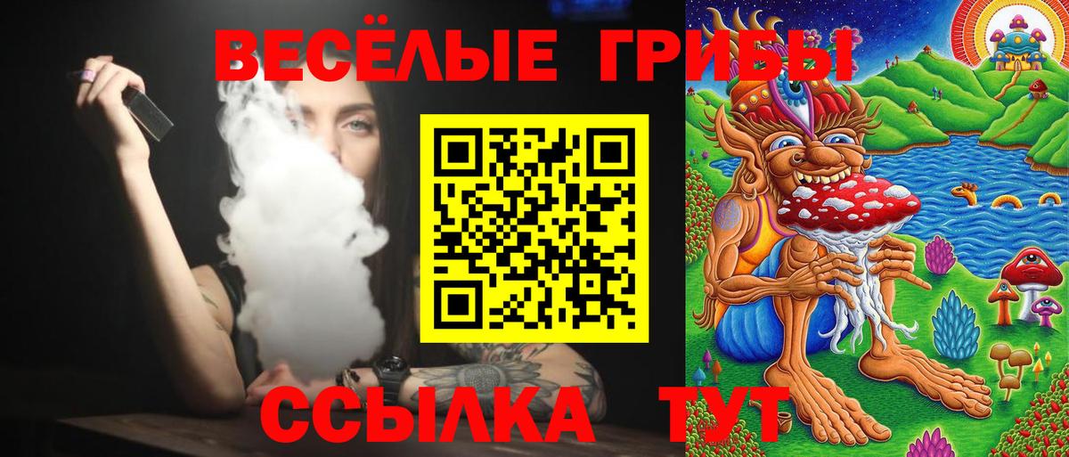 Владимир  Псилоцибиновые грибы прущие грибы  Вход с VPN 