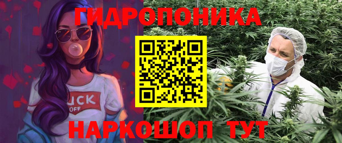 Каннабис SATIVA & INDICA Владимир
